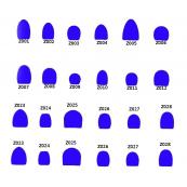  Boite 25 P. BBts ACIER Z019 