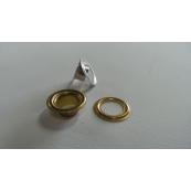  100 Oeill.Bache+Rond.J16 Dore 